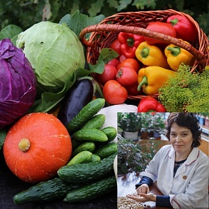 Семена селекции Штайнерт